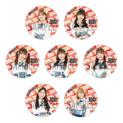 14周年記念チーム別缶バッジ(ランダム全16種+特別仕様16種)【チームKⅡ】