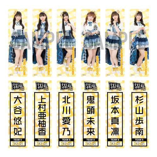 メンバー別推しステッカー2枚セット　チームS