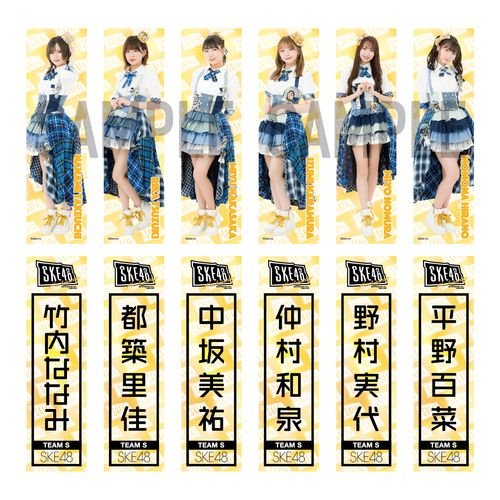 メンバー別推しステッカー2枚セット　チームS