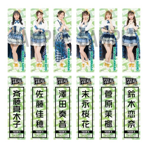 メンバー別推しステッカー2枚セット　チームE