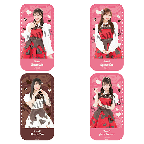 2026バレンタインペンライトポーチ(チームE)