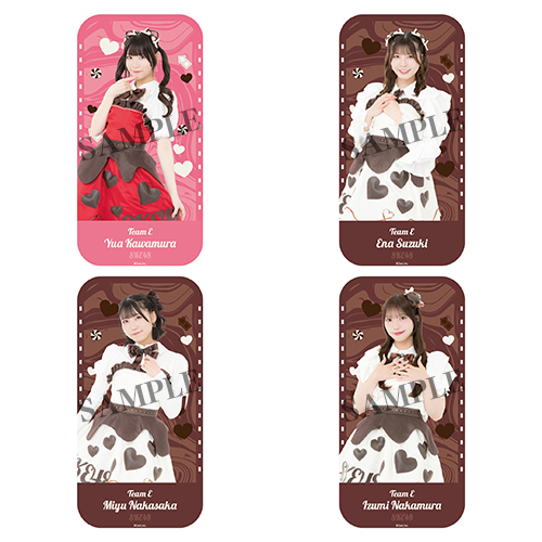 2026バレンタインペンライトポーチ(チームE)