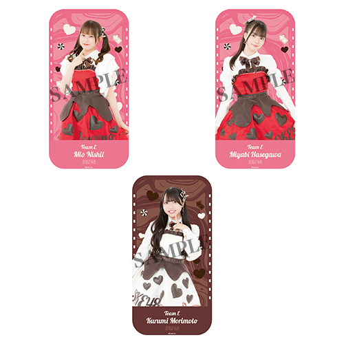 2026バレンタインペンライトポーチ(チームE)