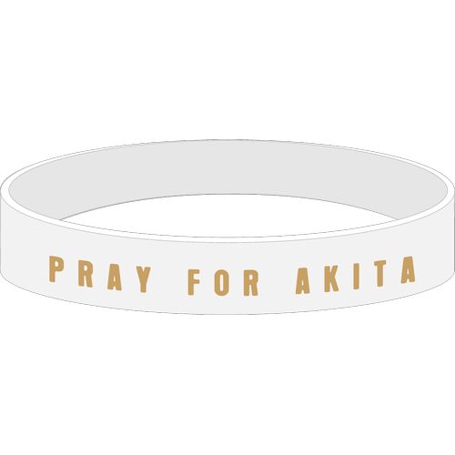 チャリティラバーバンド