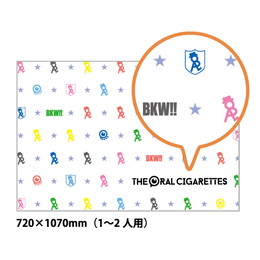 マルチカラーレジャーシート