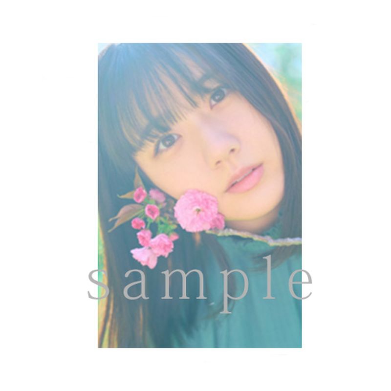 【瀧野由美子】クリアファイルA