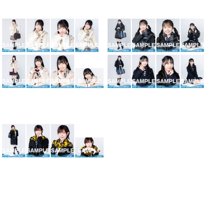 【通常配送】STU48 2024年11月度ランダム生写真5枚セット