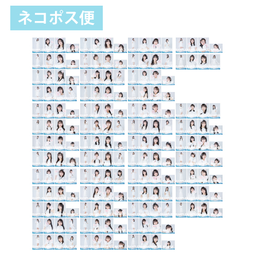 【ネコポス便】STU48 2023年7月度ランダム生写真5枚セット